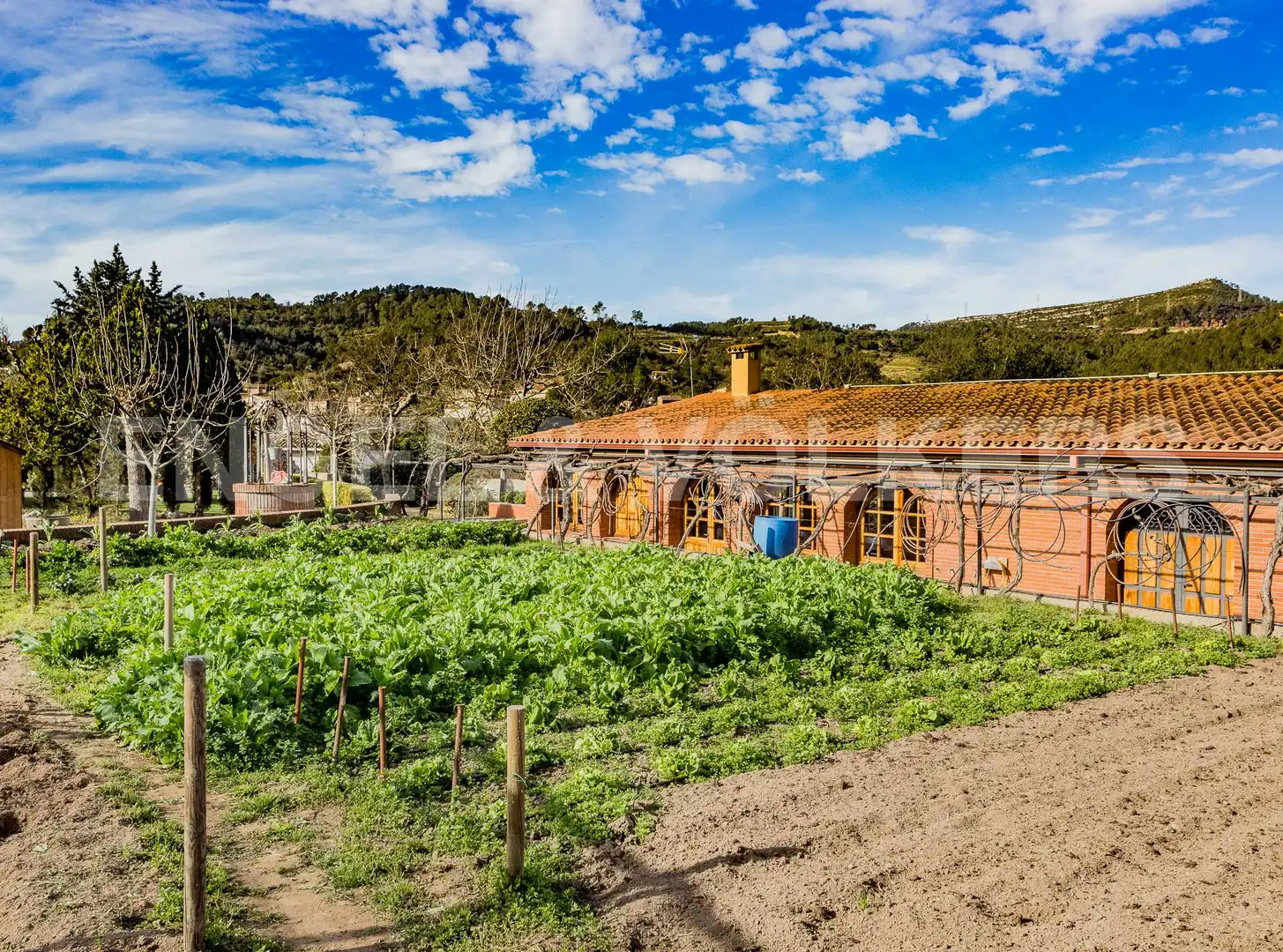 Casa amb terrassa en venda a Torrelles de Llobregat, imagen 21