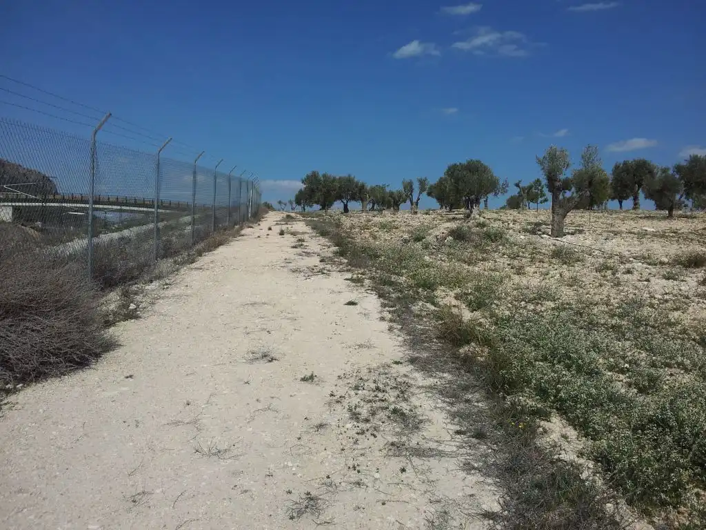 Terreny rústic en venda a Sax, imagen 5