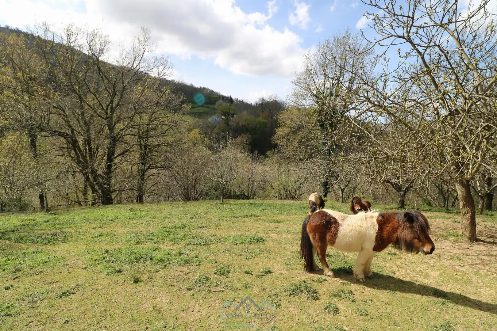 Garden of Houses for sale in Etxalar  with Heating, Terrace and Storage room