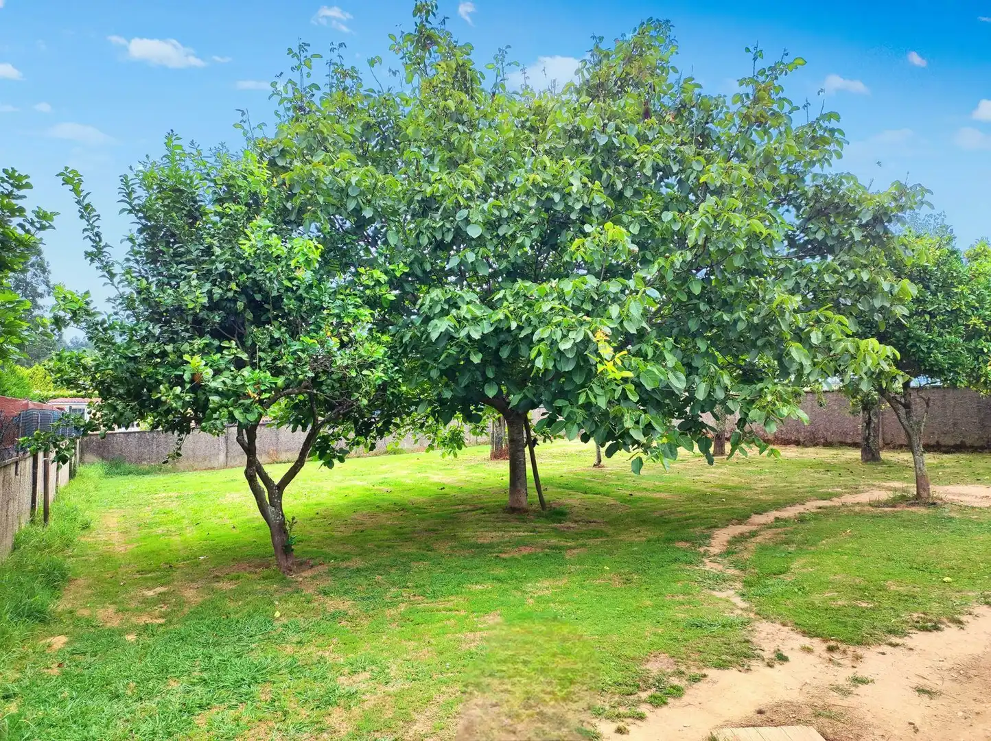 Xalet amb jardí en venda a Lugar Piñeiro, imagen 76