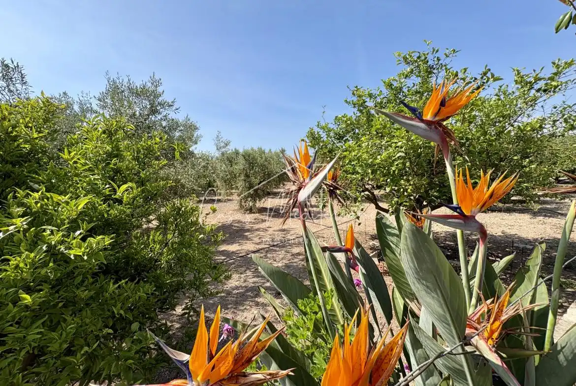 Finca rústica en venda en Mont-roig del Camp amb Aire condicionat, Calefacció i Jardí privat