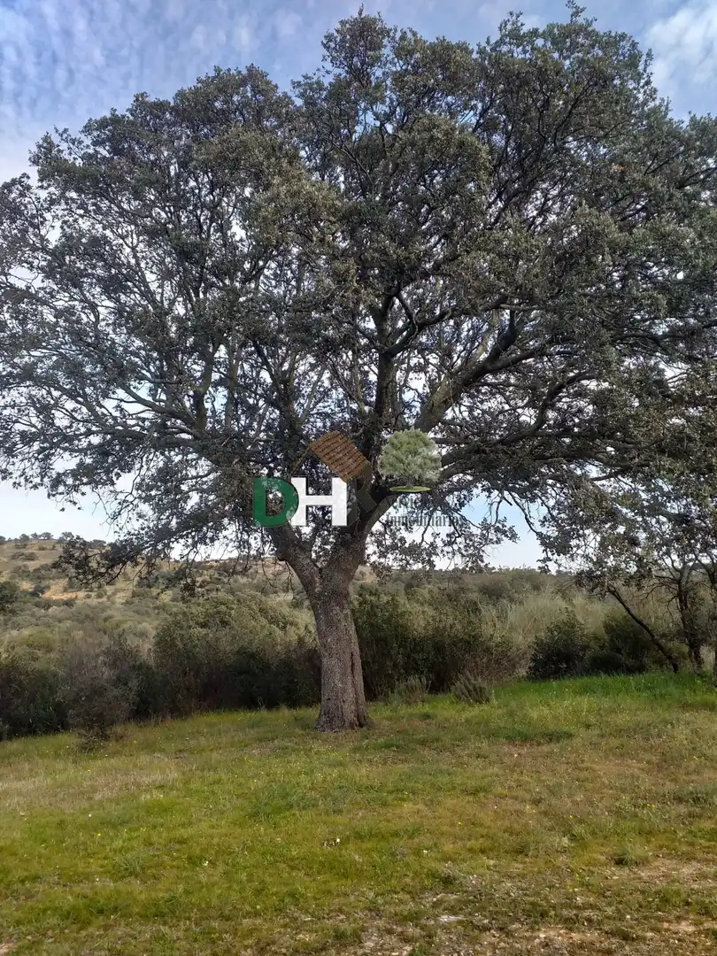 Terreni e lotti in vendita a Sur, imagen 7