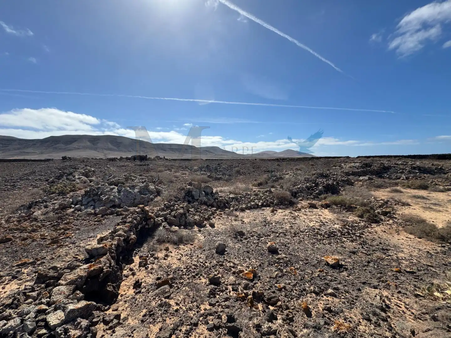 Land for sale in La Oliva