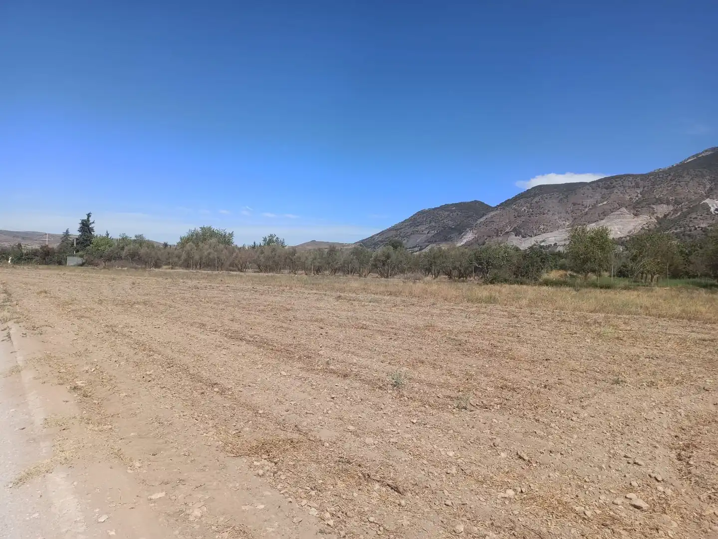 Rural land for sale in Dúrcal, imagen 10