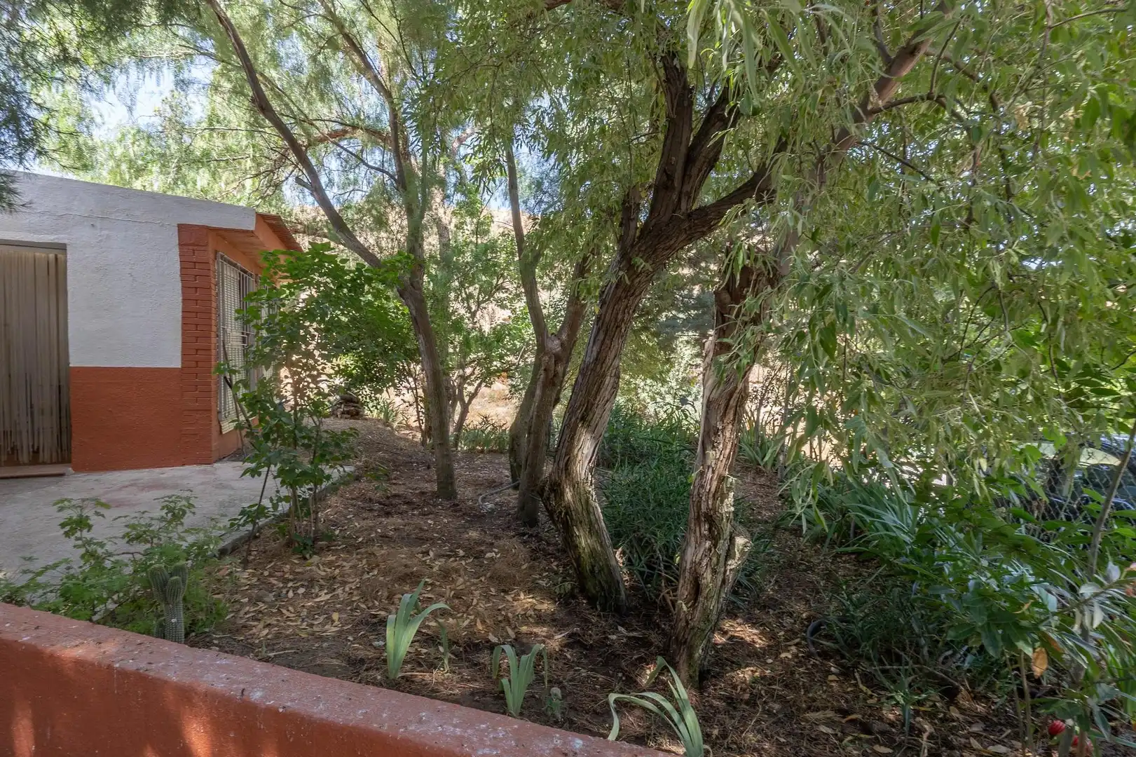 Jardí de Finca rústica en venda en Caniles