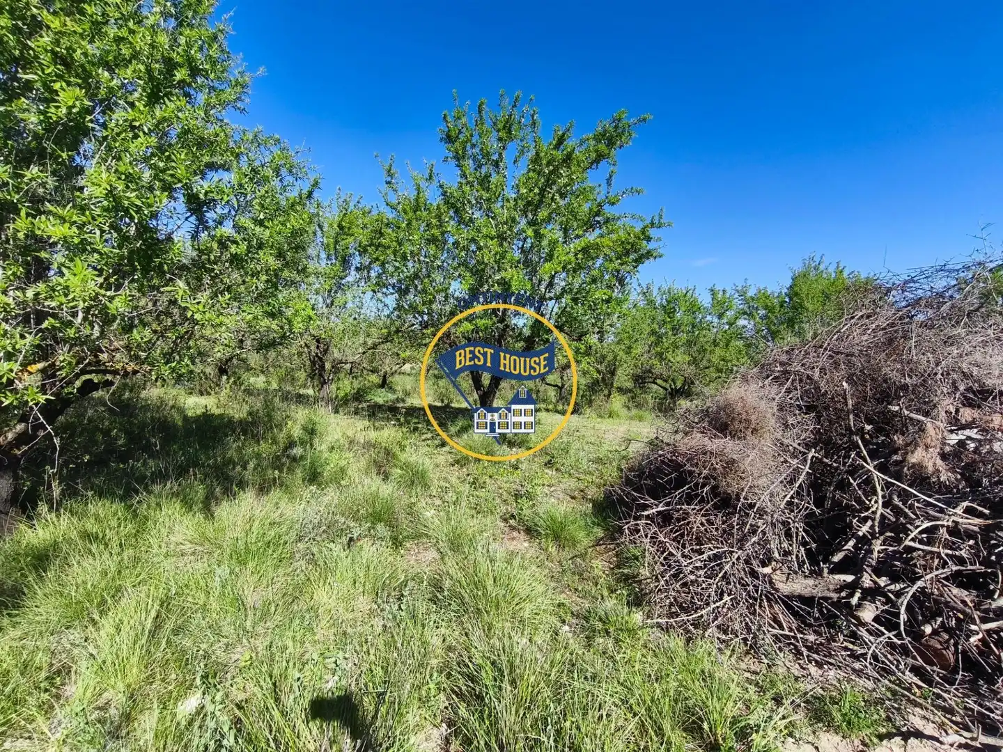 Terreno rustico in vendita a Albaida, imagen 3
