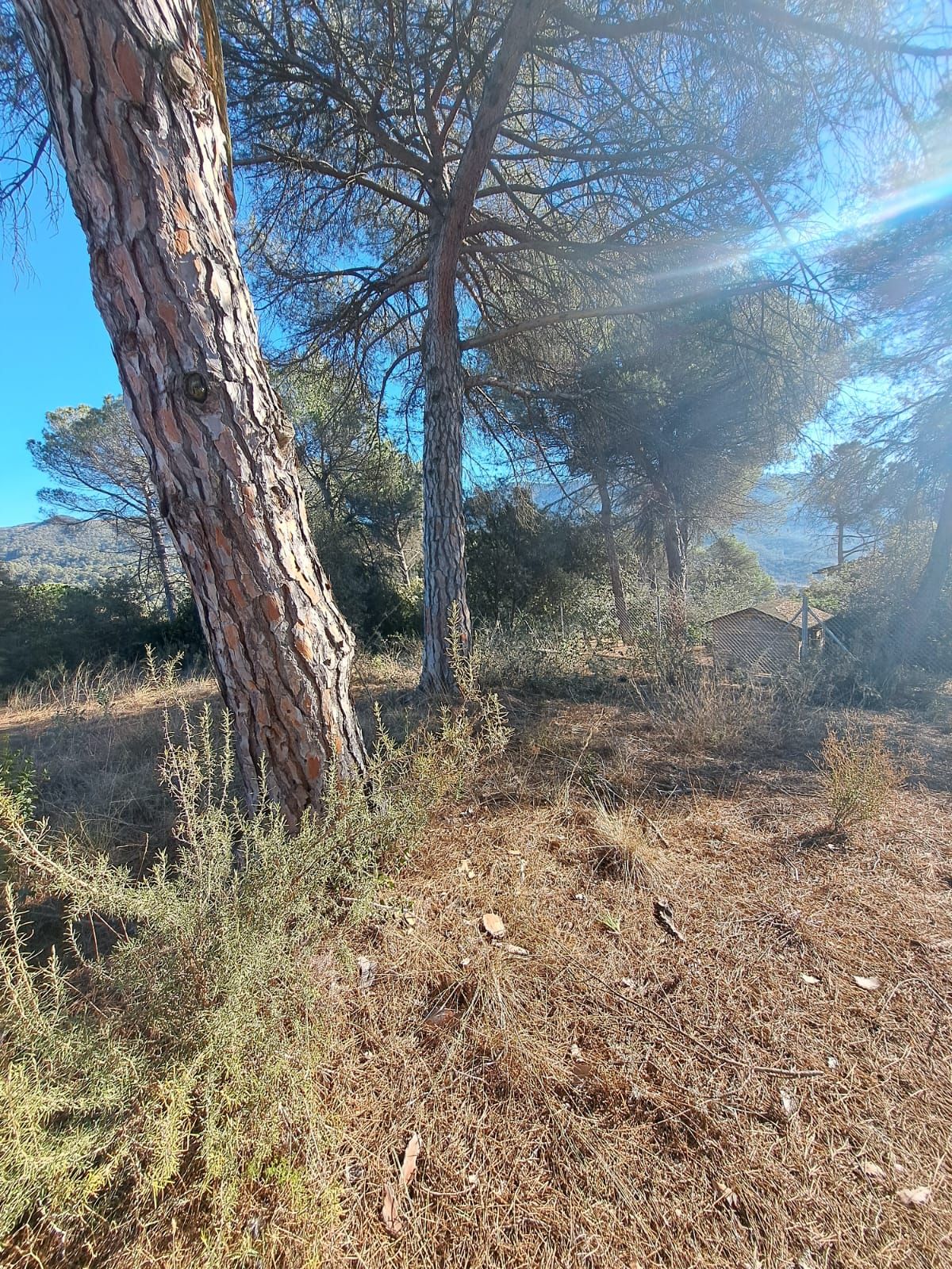 Residential for sale in Vacarisses