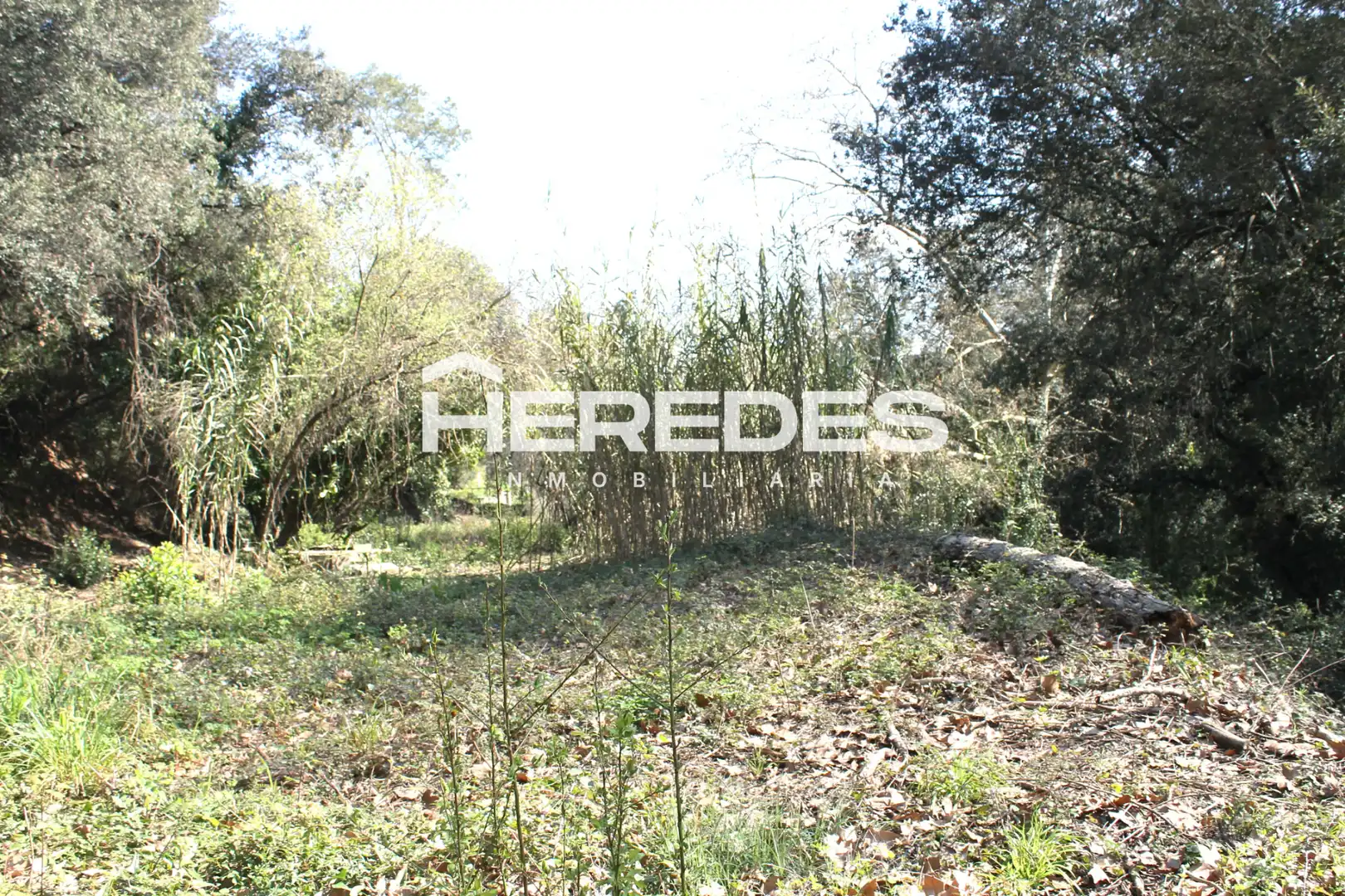 Casa con jardín en venta en Torrelles de Llobregat, imagen 42