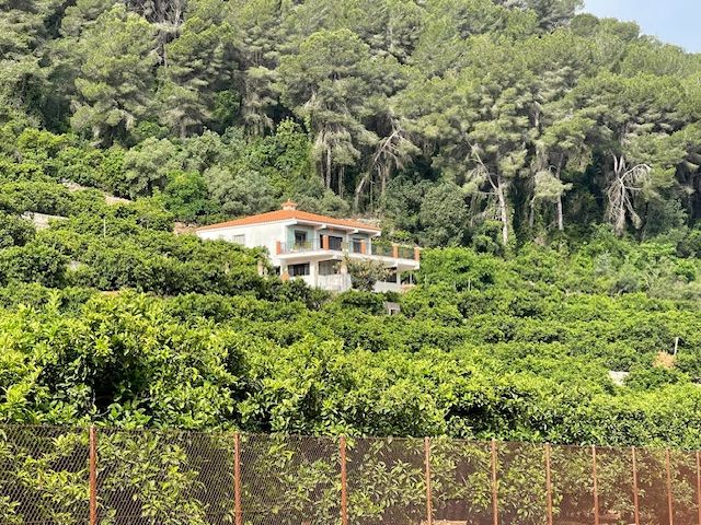 Exterior view of Country house for sale in Alzira
