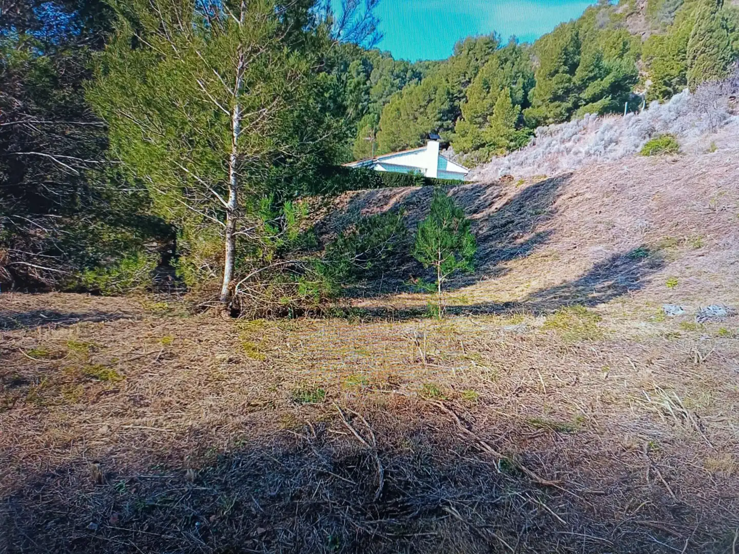 Rural land for sale in San Miguel - El Paraiso, imagen 4