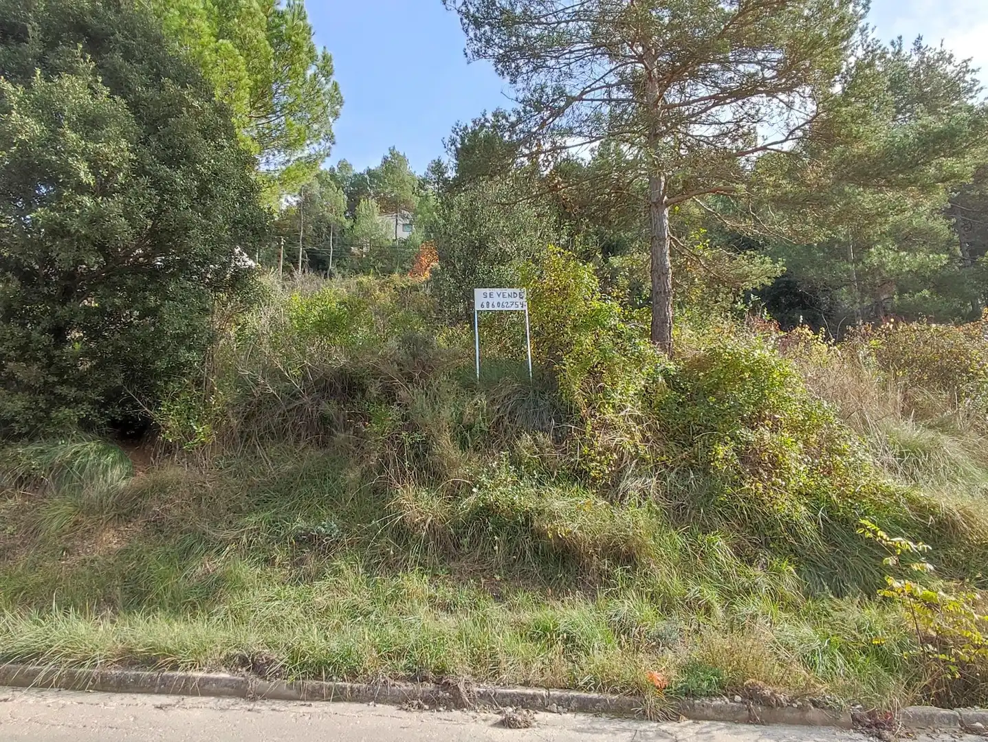 Terrain rustique à vendre à Monistrol de Calders, imagen 7