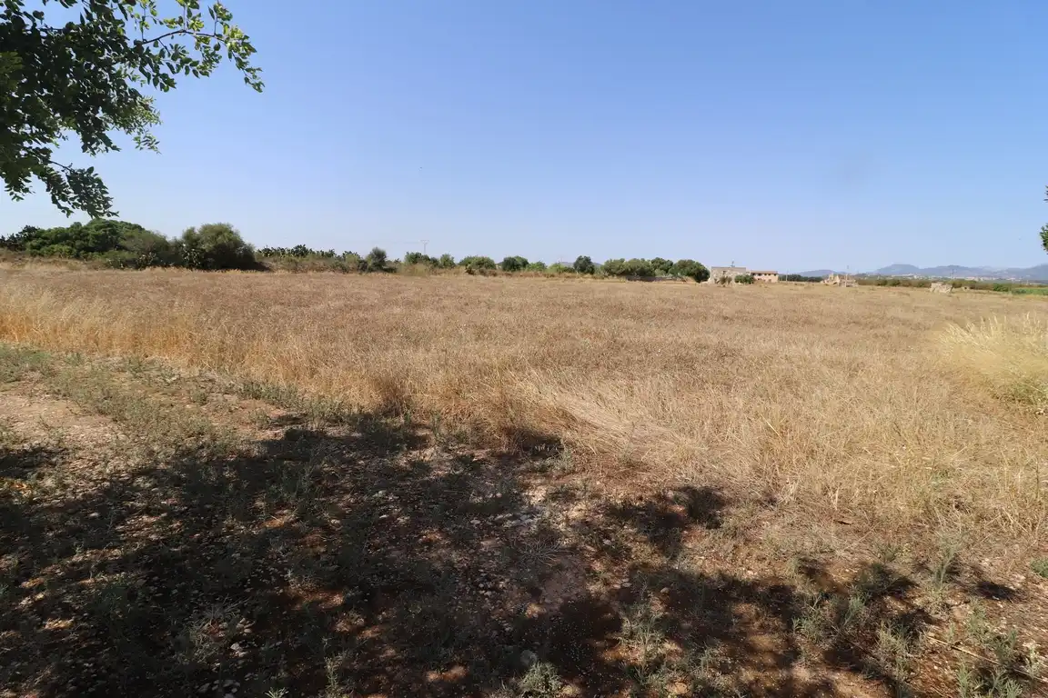 Grundstücke zum Verkauf in Sa Pobla
