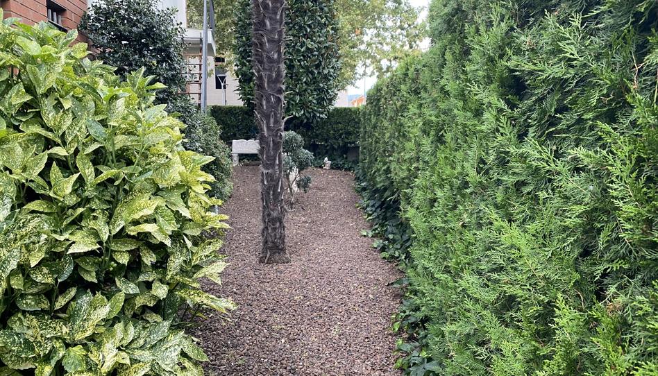 Foto 1 de Finca rústica en venda a Torelló, Barcelona