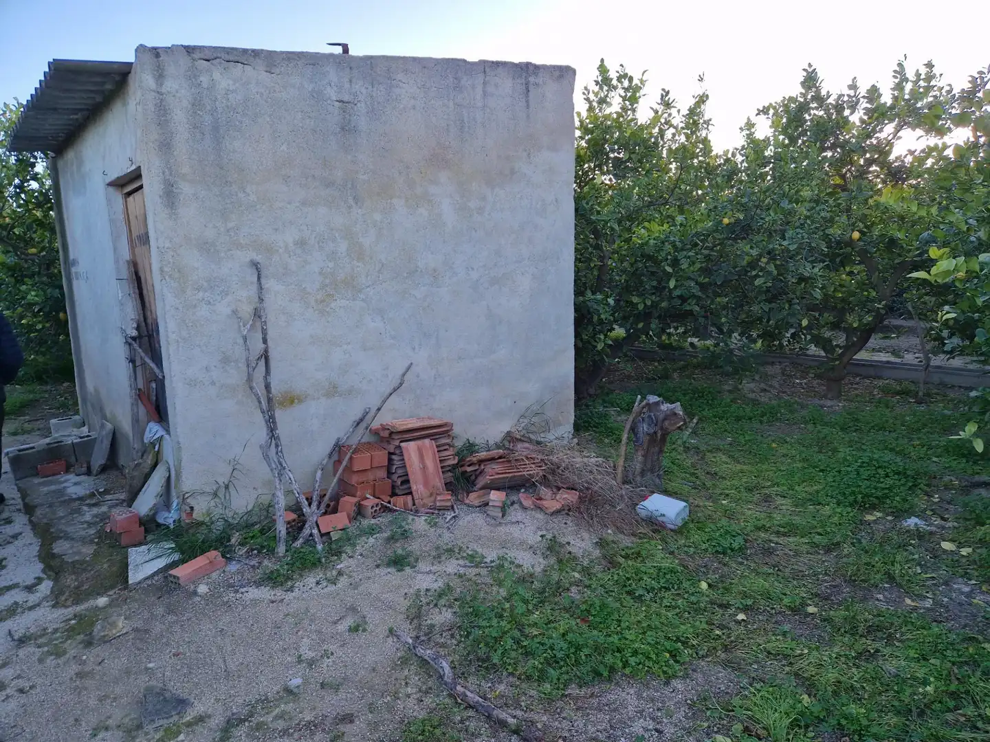 Land for sale in Villanueva del Río Segura