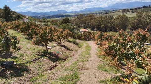 Foto 2 de Terreno en venta en Camino 29569, Cártama, Málaga
