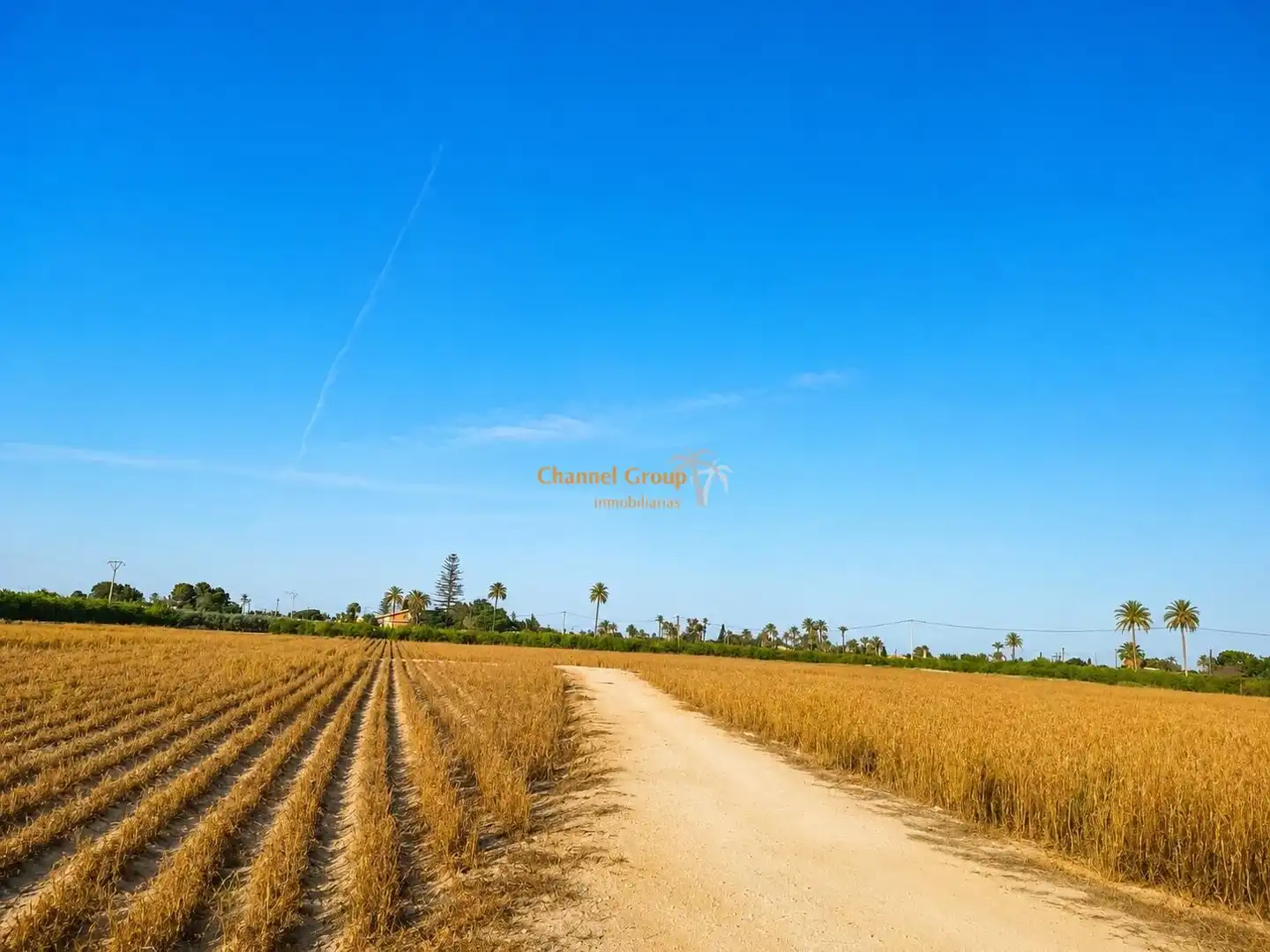 Land for sale in Elche / Elx