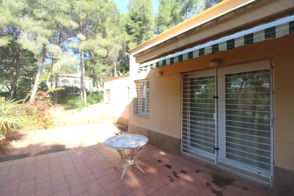 Jardín de Casa o chalet en venta en Godelleta con Calefacción, Terraza y Balcón