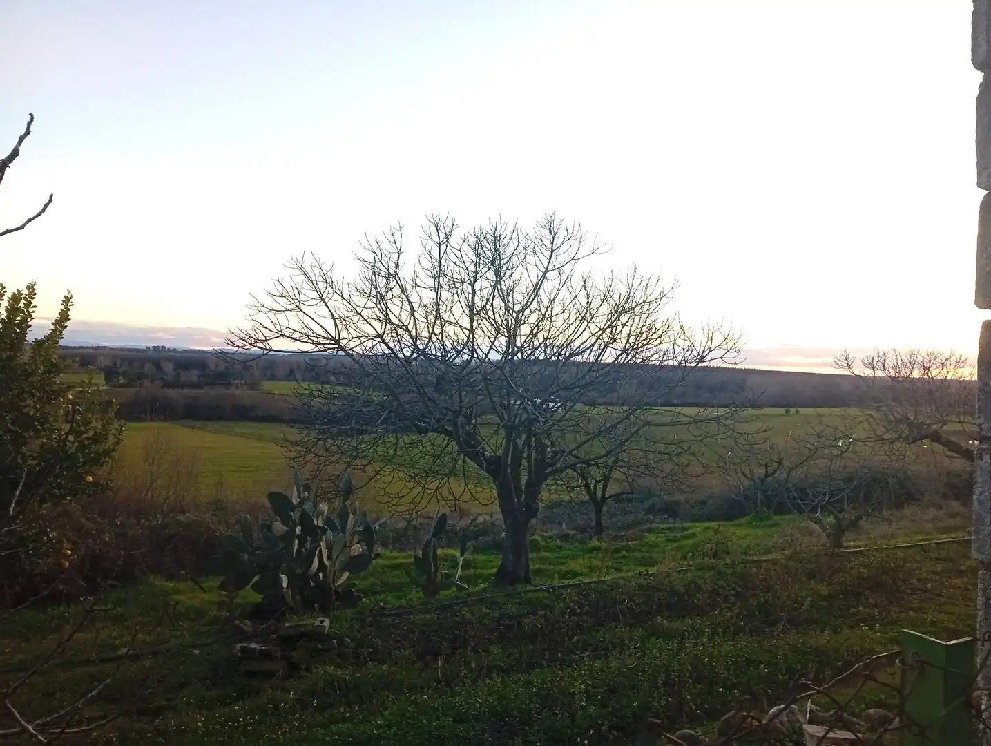 Land for sale in Losar de la Vera