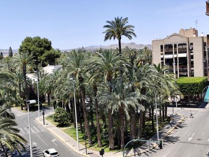 Vista exterior de Pis en venda en Elche / Elx amb Aire condicionat i Balcó