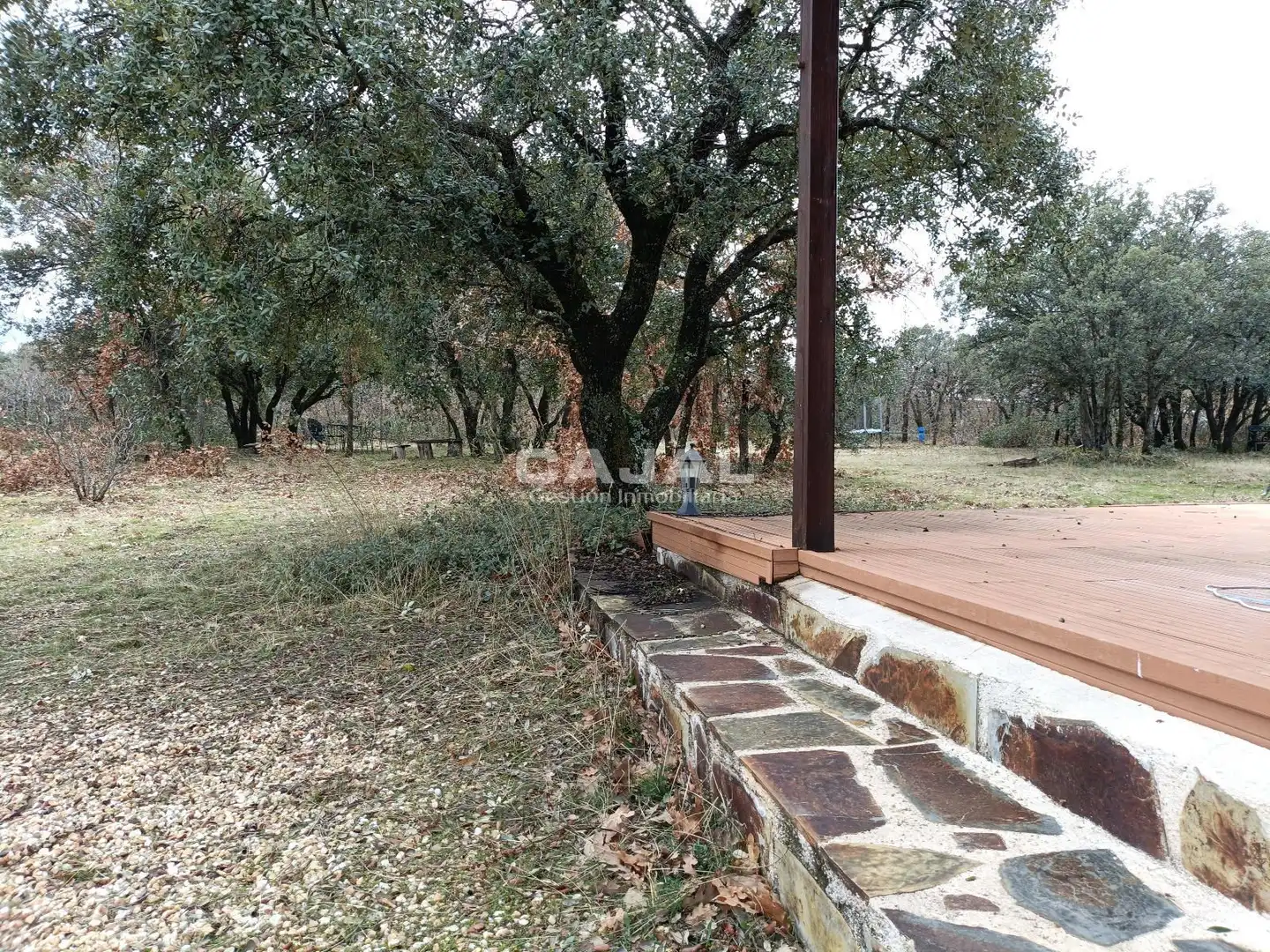 Jardín de Casa o chalet en venta en Castillejo de Mesleón con Calefacción