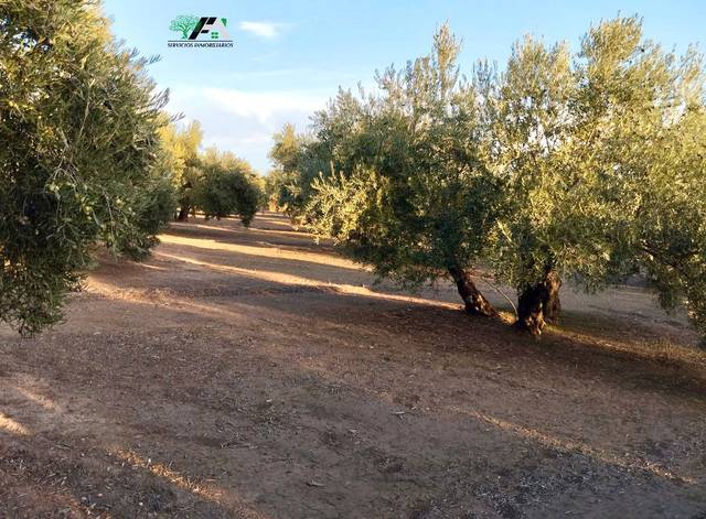Terreno en Venta en Travesia de Linares en Torreblascopedro