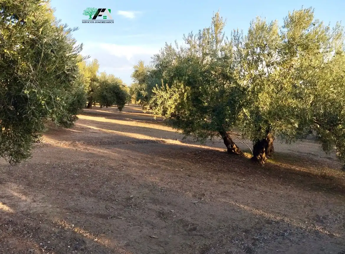 Terreni e lotti in vendita a Travesia de Linares