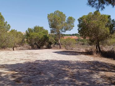 Terreni e lotti in vendita a Casco Urbano