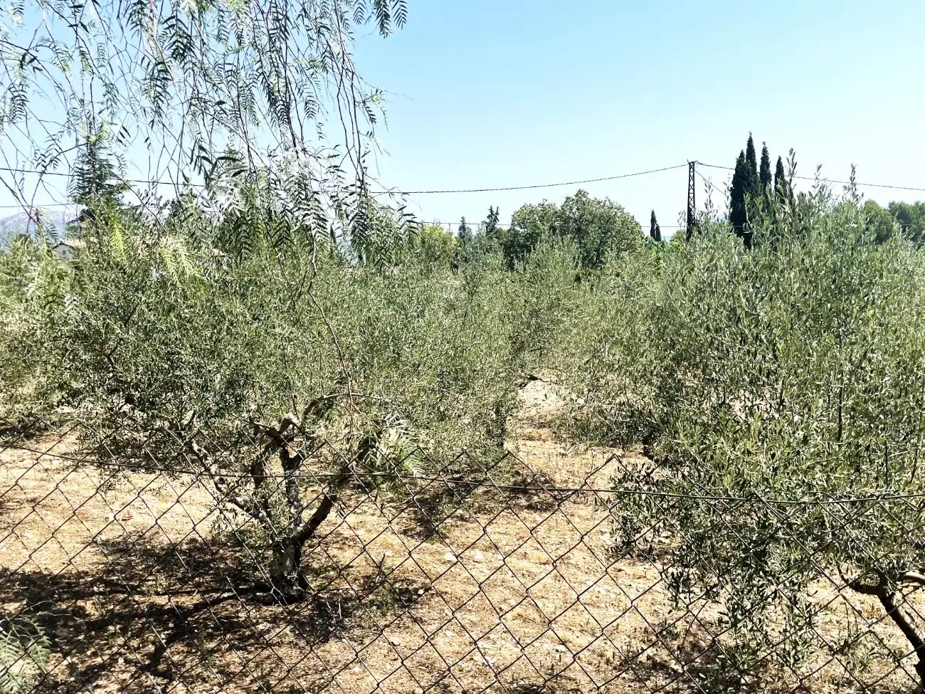 Casa o xalet en venda en Cocentaina amb Aire condicionat, Terrassa i Piscina