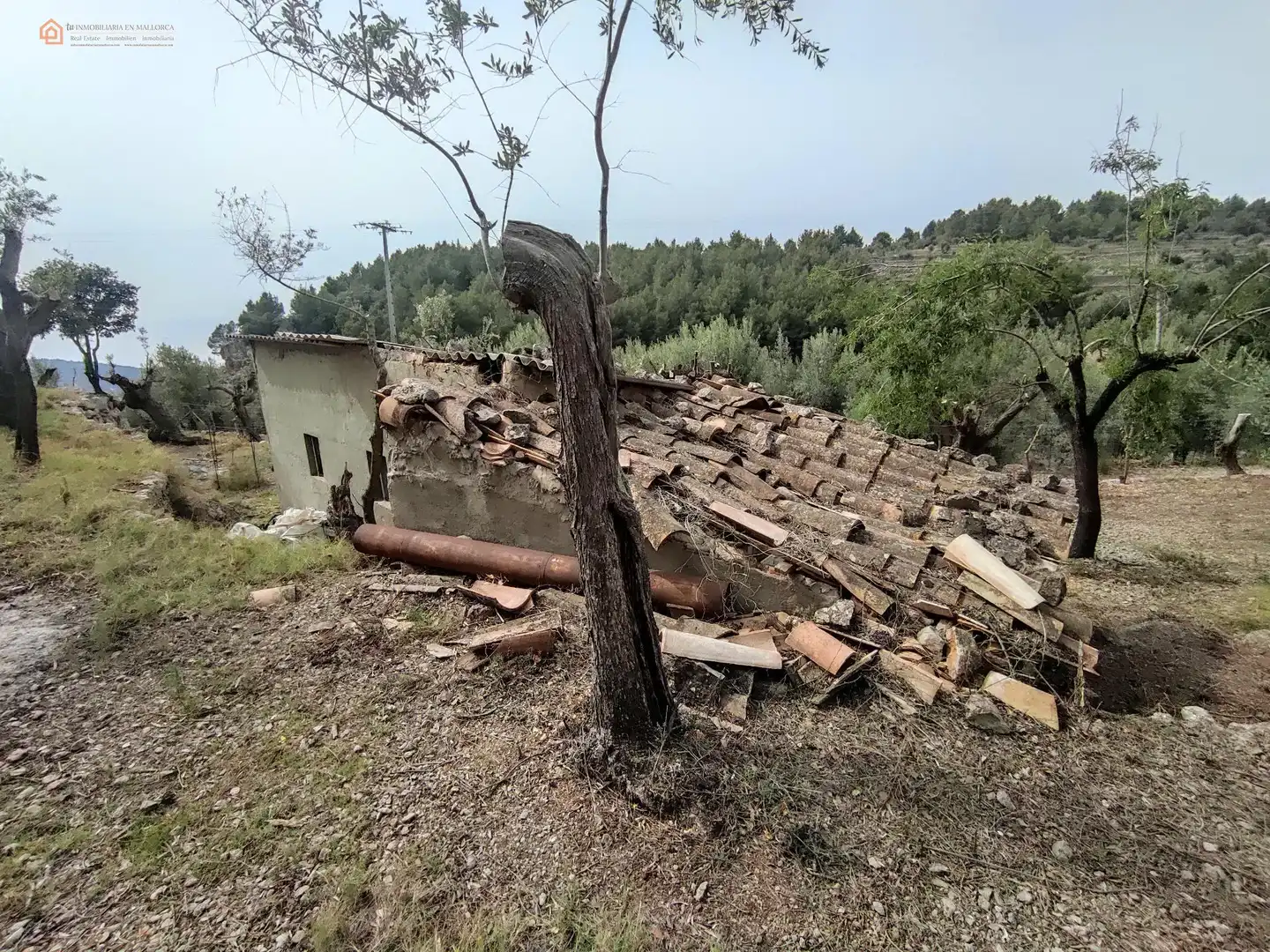 Exterior view of Residential for sale in Fornalutx