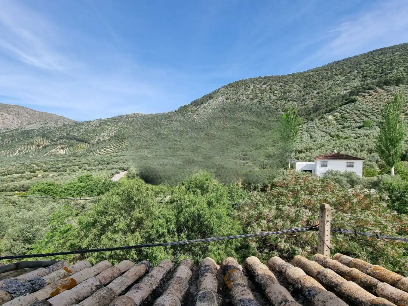 House with garden for sale in Las piedras 5, imagen 55