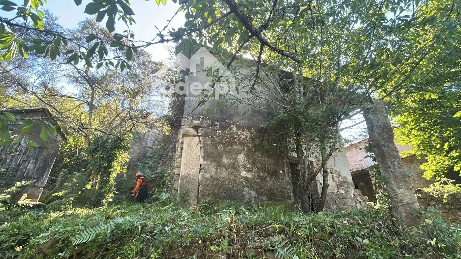 Haus zum Verkauf in Arbo, imagen 4