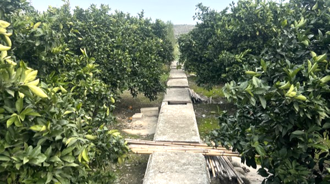 Photo 2 of Residential for sale in Perdut, L'Énova, Valencia