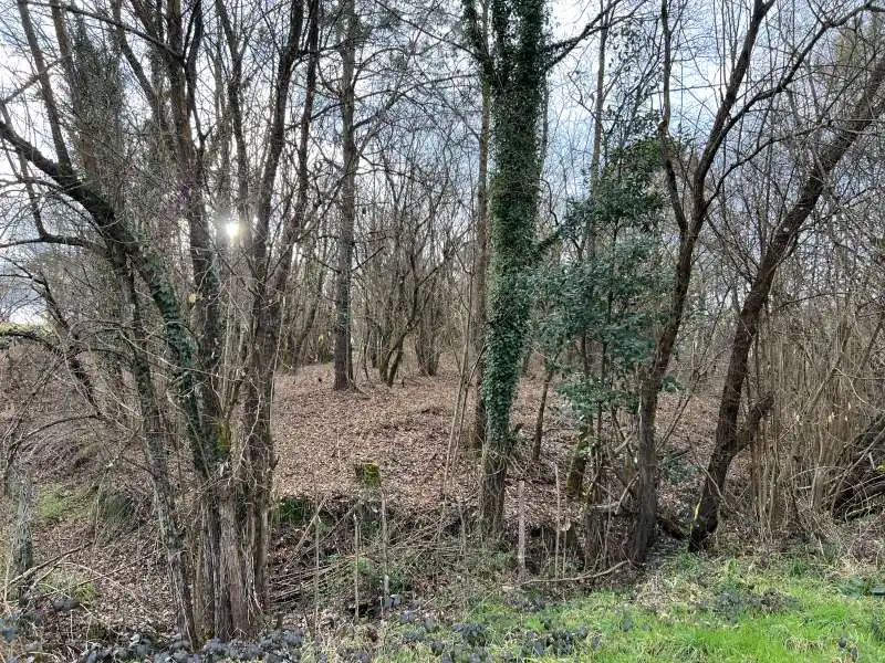 Terreni e lotti in vendita a Parroquias Norte, imagen 18