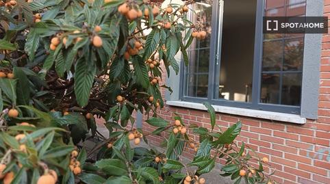 Photo 5 of Flat to rent in Legazpi,  Madrid Capital