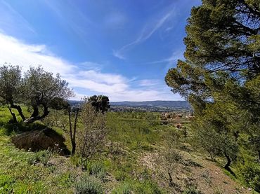 Chalet en venta en El Pilar