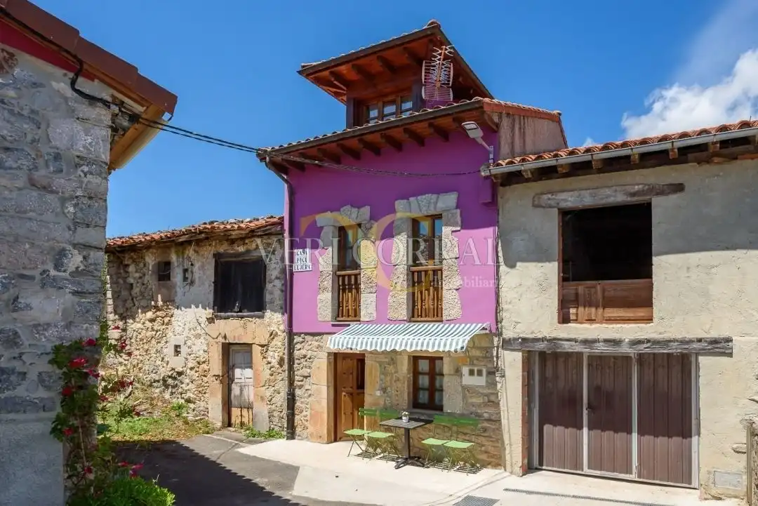 Vista exterior de Casa adosada en venda en Peñamellera Alta amb Calefacció