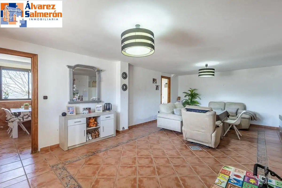 House with garden for sale in Calle MOLINILLO, imagen 25