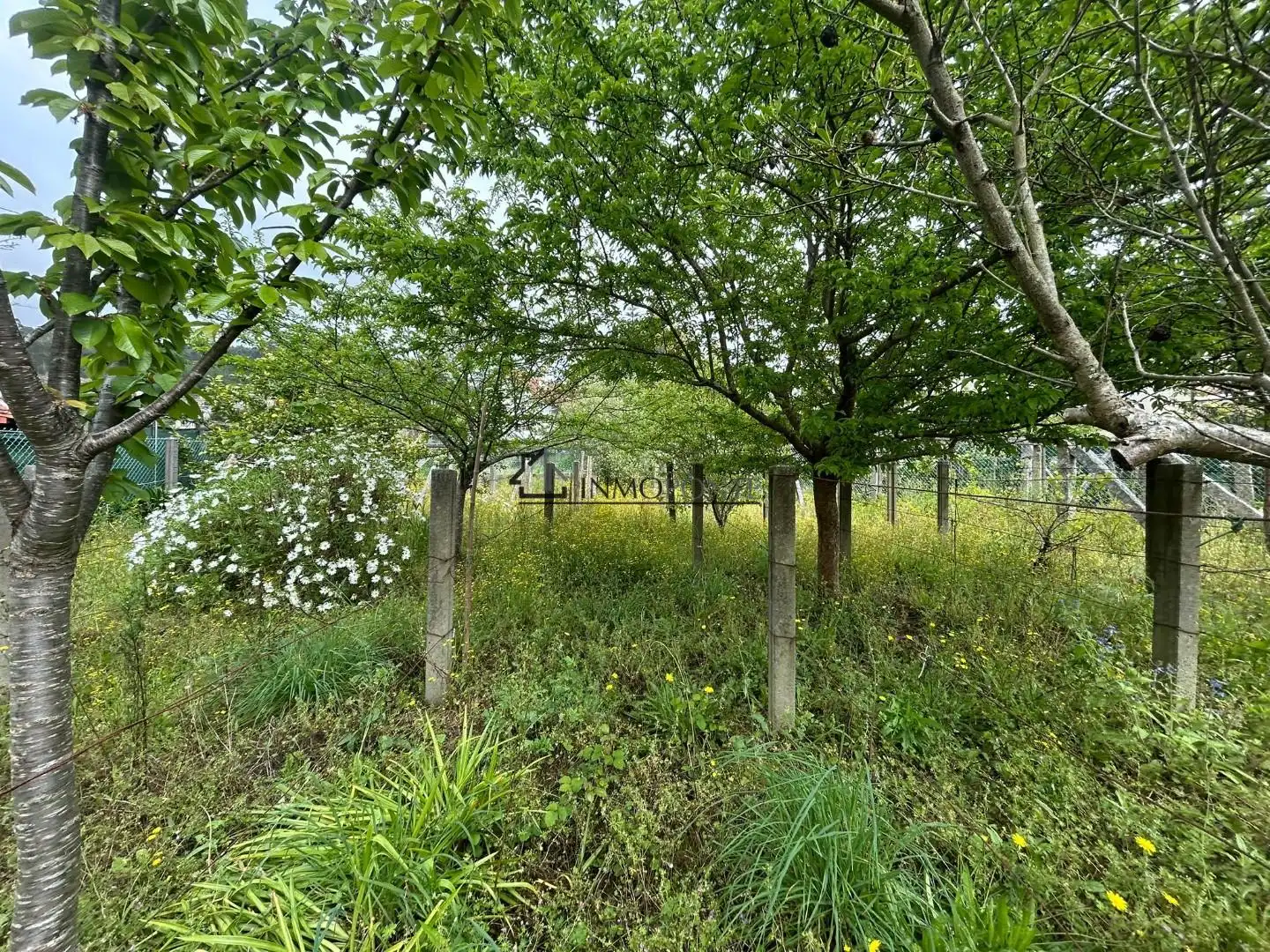 Casa o xalet en venda en Poio amb Calefacció, Jardí privat i Terrassa