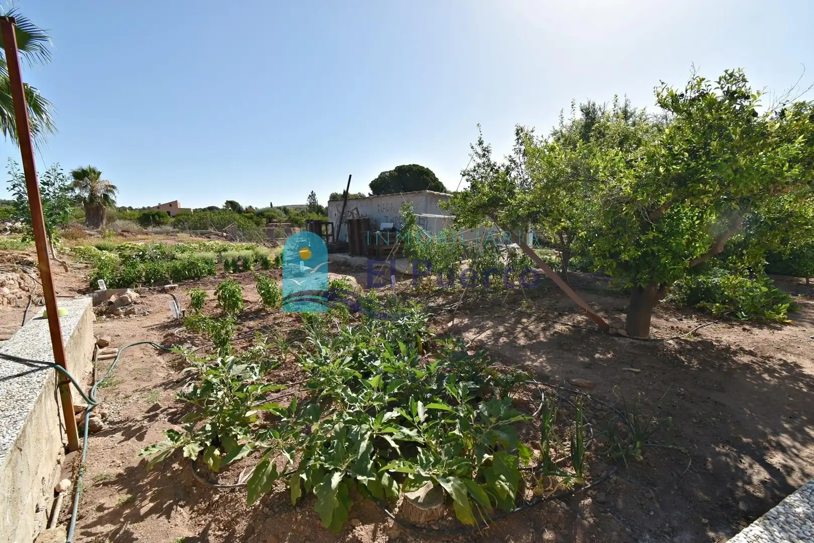 House with pool for sale in Totana, imagen 55