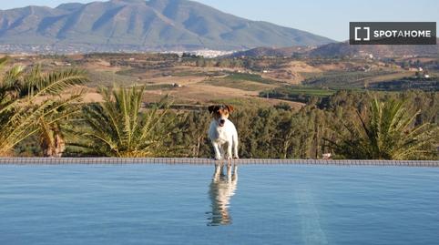 Photo 4 of Study to share in Cártama, Málaga