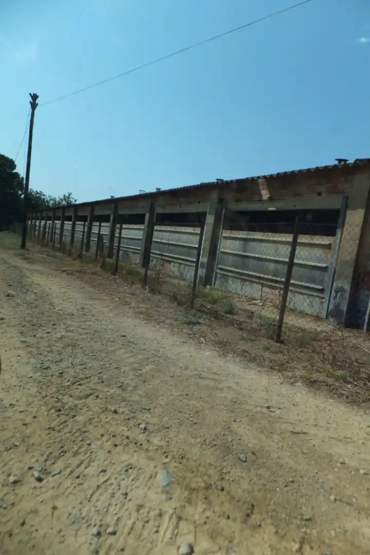 Terreno rústico en venta en Vial Camino 20, imagen 32