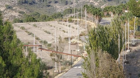 SE VENDE FINCA RUSTICA EN EL NIÑO DE MULA