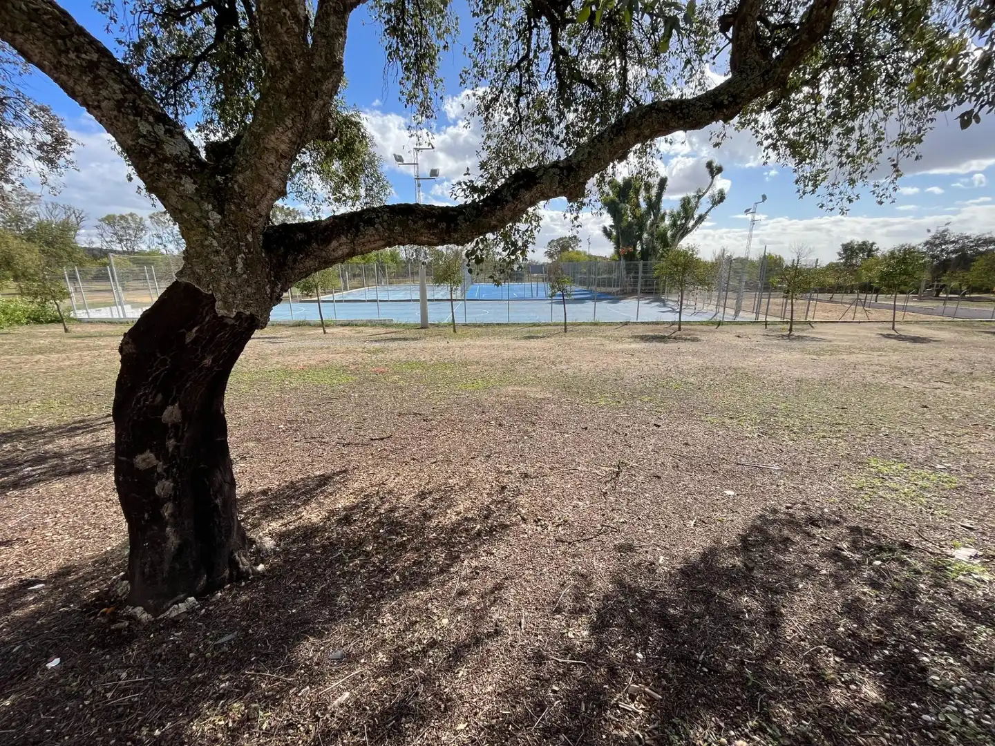 Casa o xalet en venda en Castilblanco de los Arroyos amb Aire condicionat, Jardí privat i Terrassa