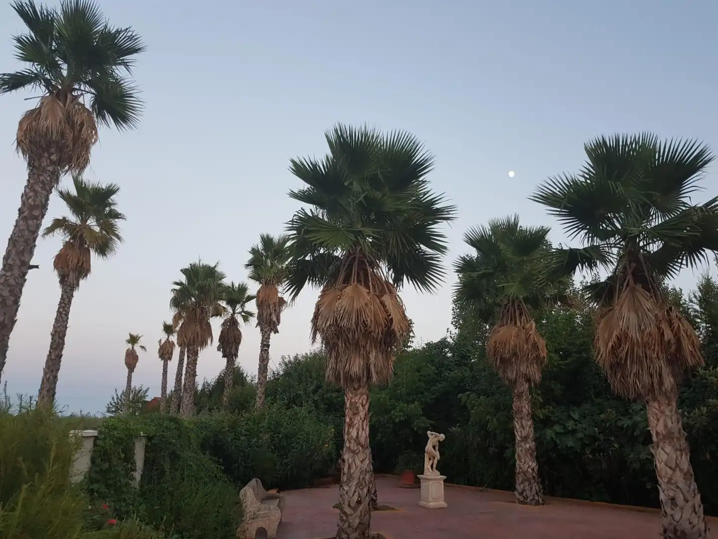 Jardín de Finca rústica en venta en Santa Cruz de Mudela