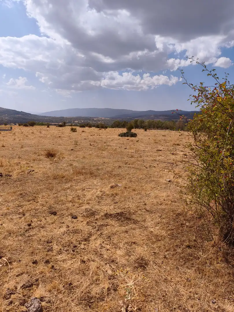 Terreny rústic en venda a M-143 23, imagen 12