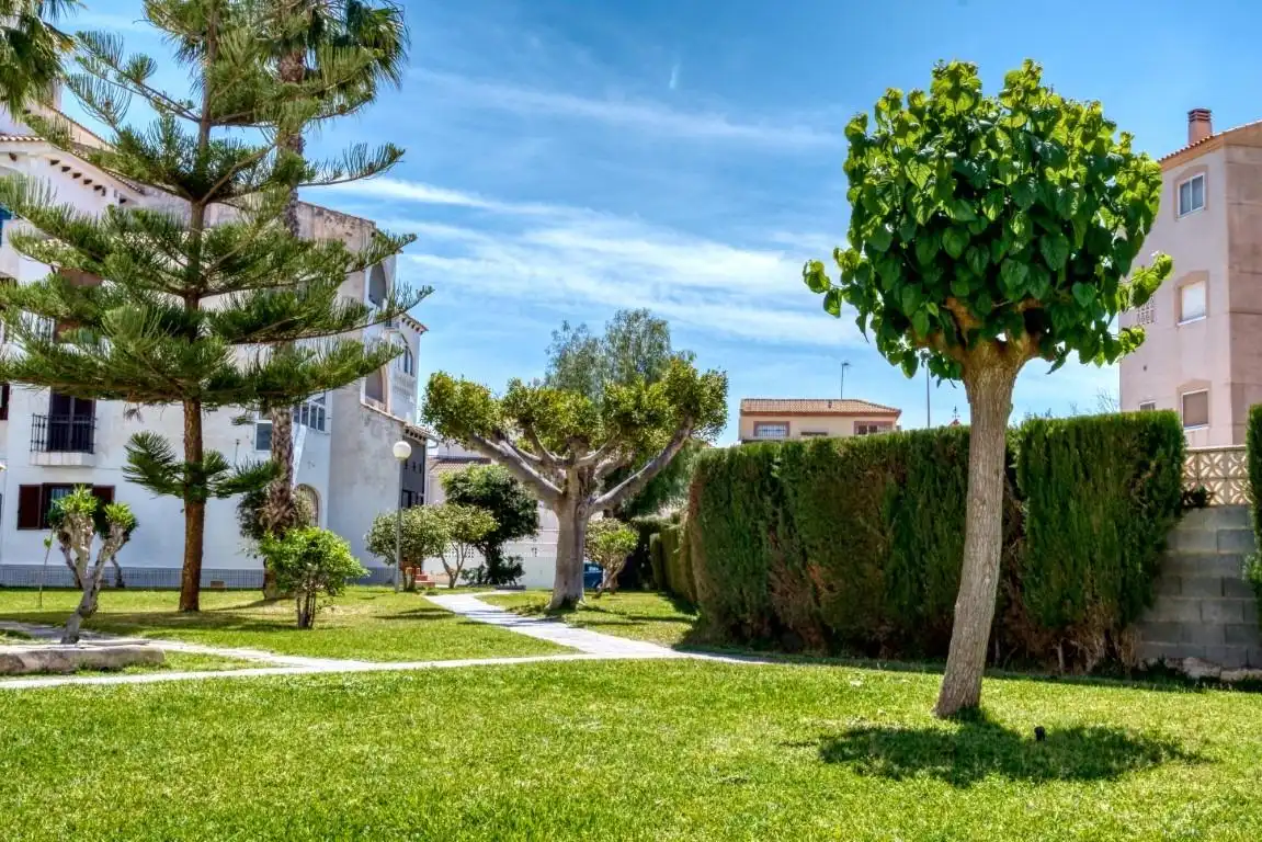 Duplex à vendre à Nueva Torrevieja - Aguas Nuevas, imagen 3