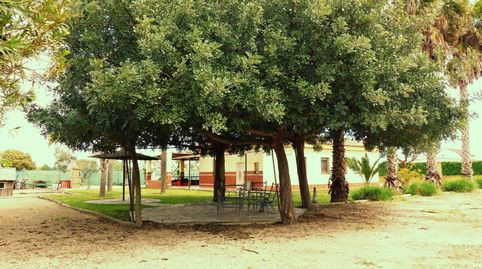 PRECIOSA FINCA RÚSTICA DE RECREO CON CASA Y ÁRBOLES FRUTALES!!!, imatge 2