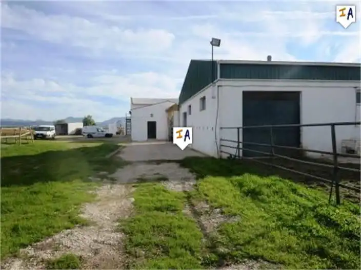 Finca rústica en venta en Mollina