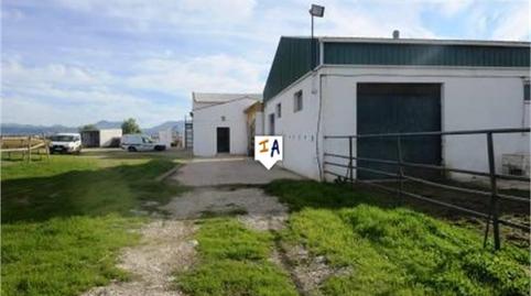 Photo 3 of Country house for sale in Mollina, Málaga