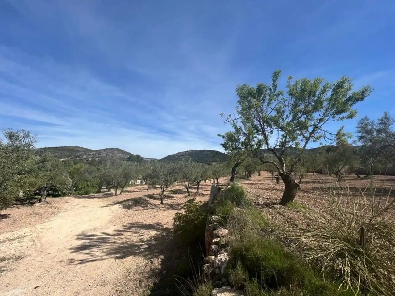 Chalet con jardín en venta en Calle Poligono, imagen 54